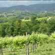 Il paesaggio incantevole che circonda la casa