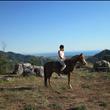 Passeggiate a Cavallo