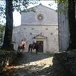 Passeggiate a Cavallo