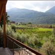 Vista camere