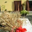 Agriturismo La Palazzina