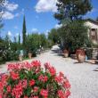 Agriturismo Le Ghiande