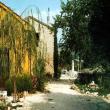 Agriturismo Locanda dellAngelo