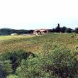 Agriturismo Podere Santa Rosalia