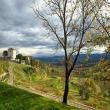 Agriturismo Il Pornelleto