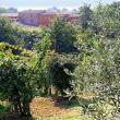 Agriturismo SanGallo