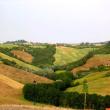 Agriturismo San Lorenzo