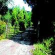 Agriturismo Villetta di Monterufoli