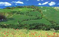 Vacanze in Toscana