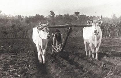L'eredità etrusca nel mondo contadino toscano