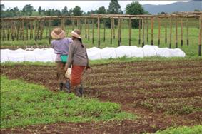 Contadini di tutto il mondo con un presidio davanti alla Fao