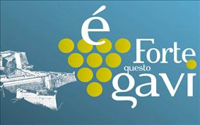 E' forte questo Gavi 2012