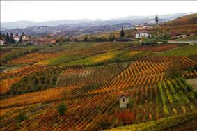 Giornate della Barbera d'Asti 2012