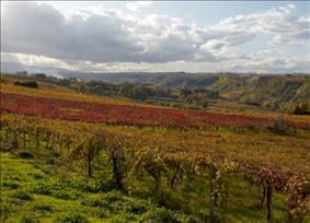 Naturale: la prime Fiera del Vino Naturale e Artigianale a Navelli (L’Aquila)
