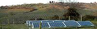 Il fotovoltaico cresce: ritorna conto energia