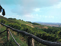 Agritourisme Frioul Vénétie Julienne - Gîte rural du Frioul-Vénétie Julienne, Guide des locations Agritourisme en Frioul Vénétie Julienne.