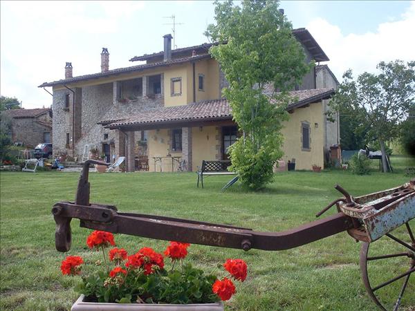 Offerta di Primavera