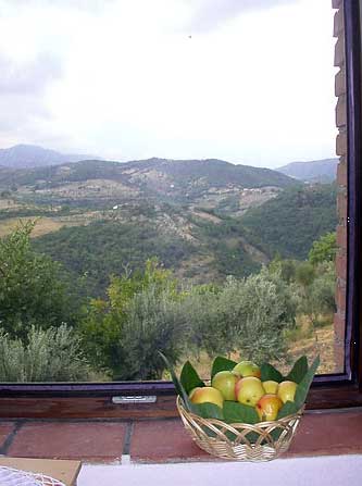 Views from La Pergola: Agriturismo Rieti