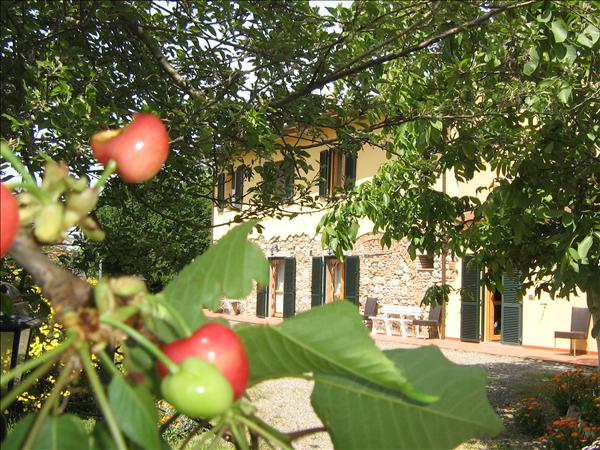 Offerta last minute GIUGNO agriturismo mare toscanaOfferta last minute GIUGNO agriturismo mare toscana Offerta last minute GIUGNO agriturismo mare toscana