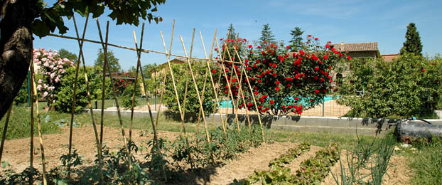 Residenza il Girasole - Azienda Agraria: Agriturismo Perugia
