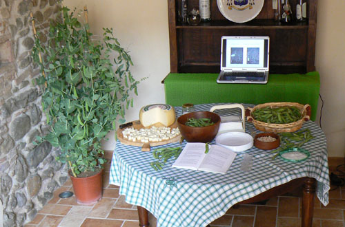 Agriturismo - Residenza il Girasole: Agriturismo Perugia