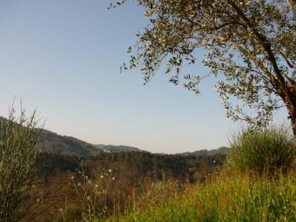 : Agriturismo Lucca