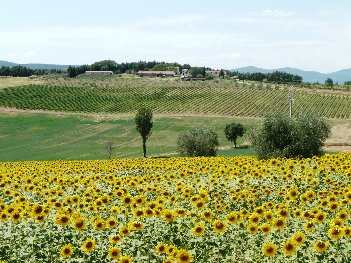 Vacanza in agriturismo
