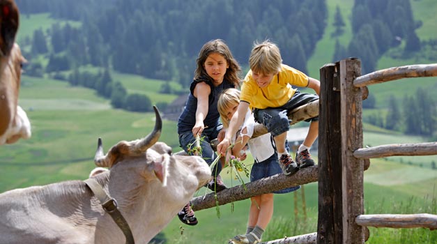 Vacanza in agriturismo