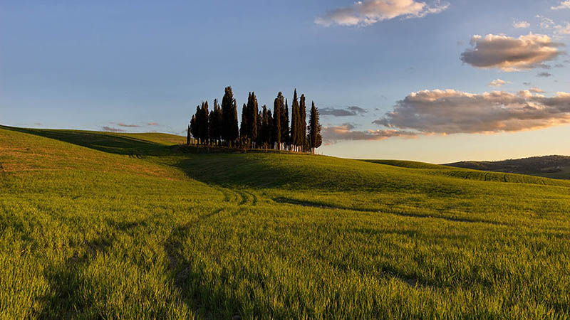 Agriturismo in Toscana