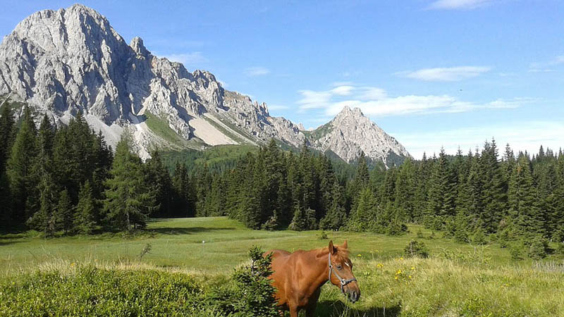 Friuli Venezia Giulia
