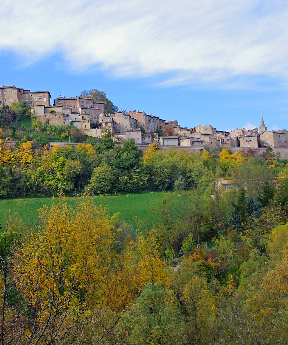 Agriturismi Marche