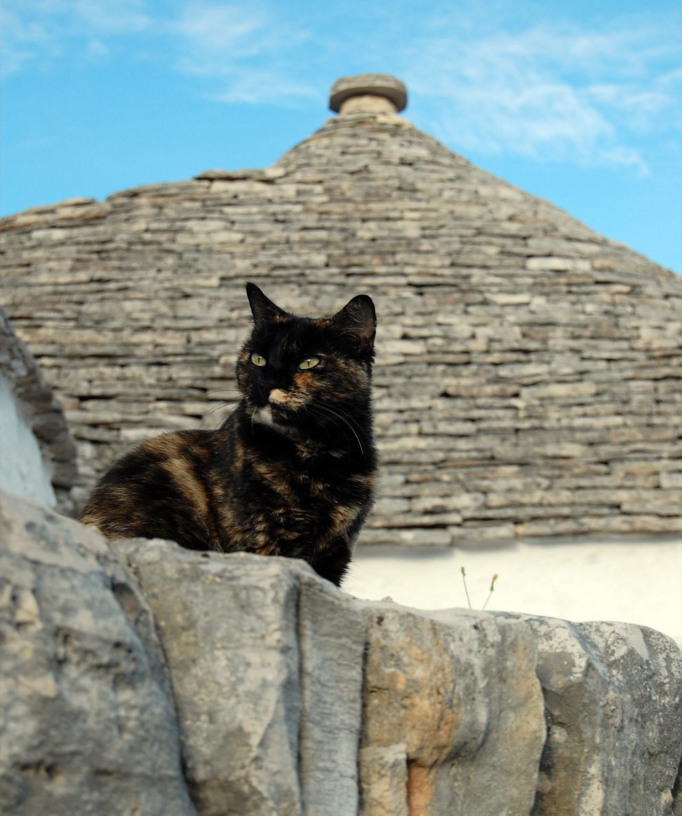 Apulia farmhouses